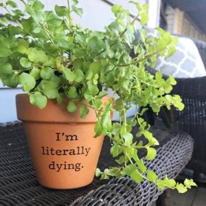 buffalovely – i-m buchstäblich sterben terra cotta Blumentopf