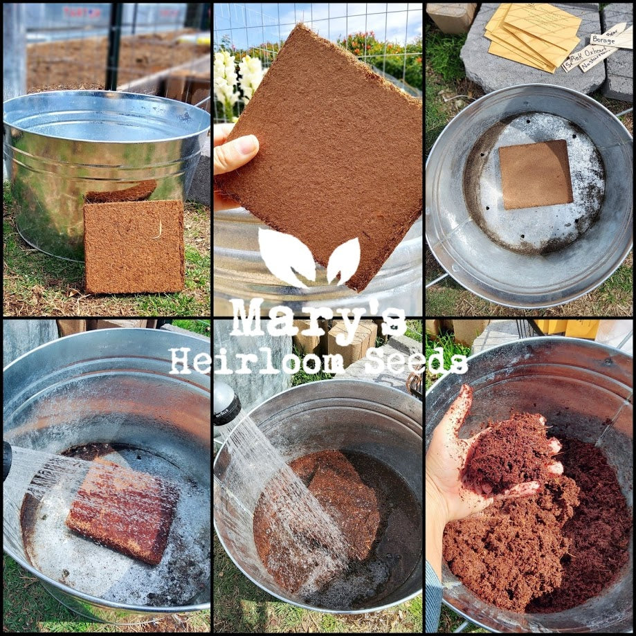 Kokos Coir Bricks