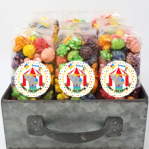Zirkus-Thema – Popcorn Party zugunsten Taschen