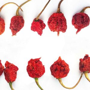 Carolina Reaper Paprika, getrocknet, ganze Schoten