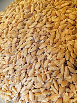 Einkorn Beeren