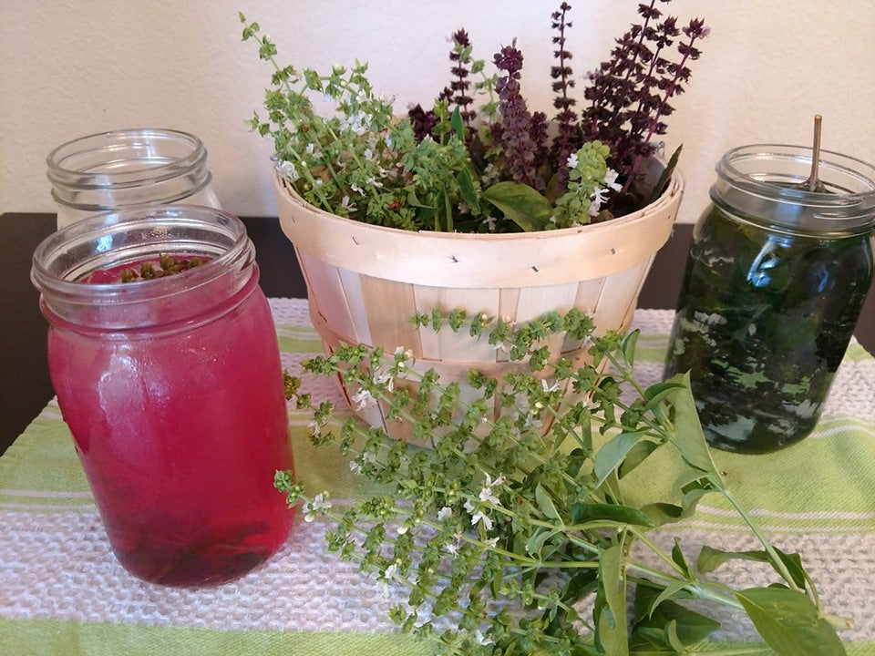 Mary's Basil Seed Sammlung
