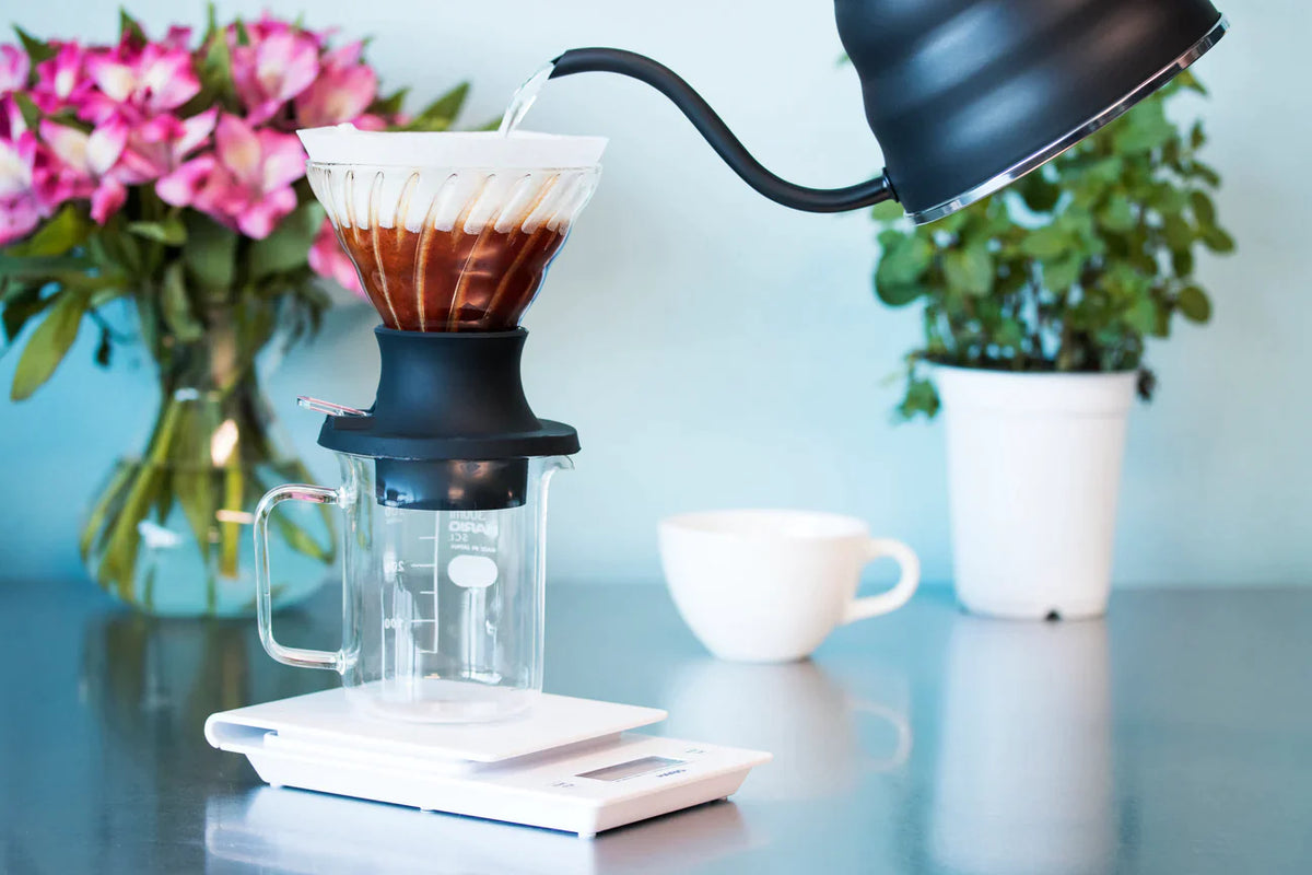 Bold Bean Kaffeeröster Hario – SWITCH Immersion Dripper