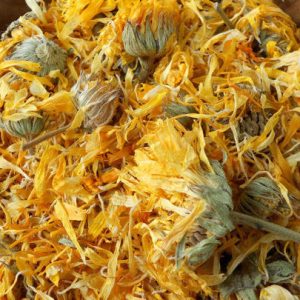Calendula Blume