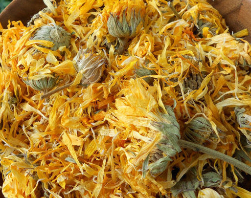 Calendula Blume