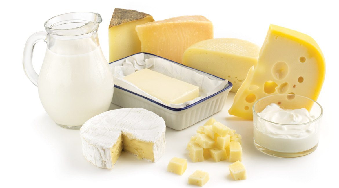 KÄSE – GROSS