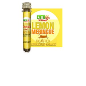 Zitrone Meringue geröstete Kricket-Snack-Röhren – 6 x 10g