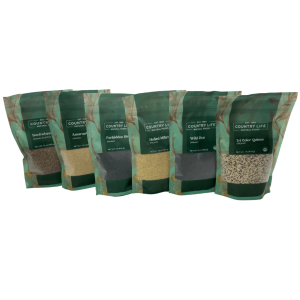 Sampler, Beyond Reis