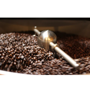 Kopi Luwak – The World’s Rarest Kaffee ( / ) – Kurumira Shop – 200g / 500g