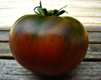 Paul Robeson Tomate