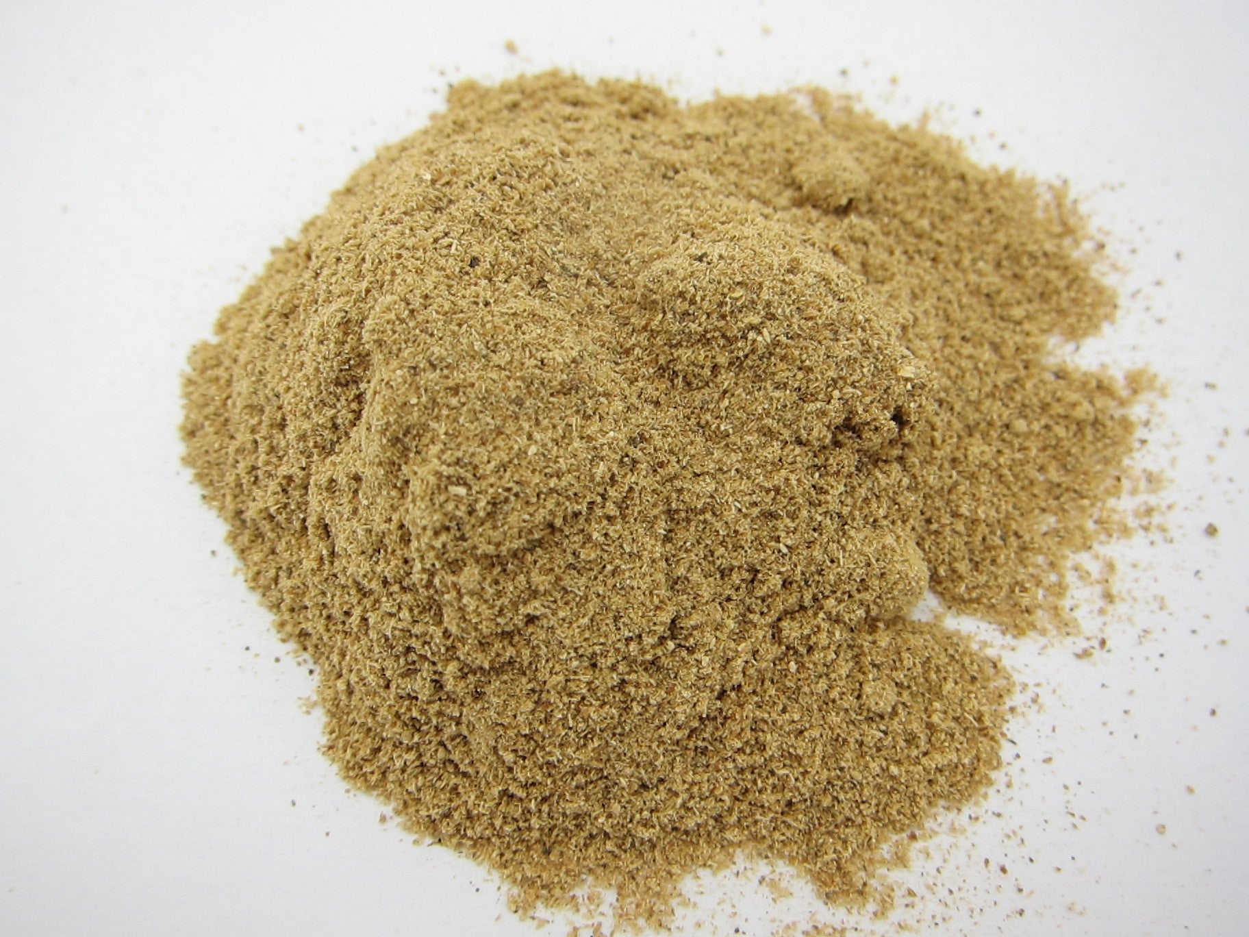Pilzpulver (Porcini)