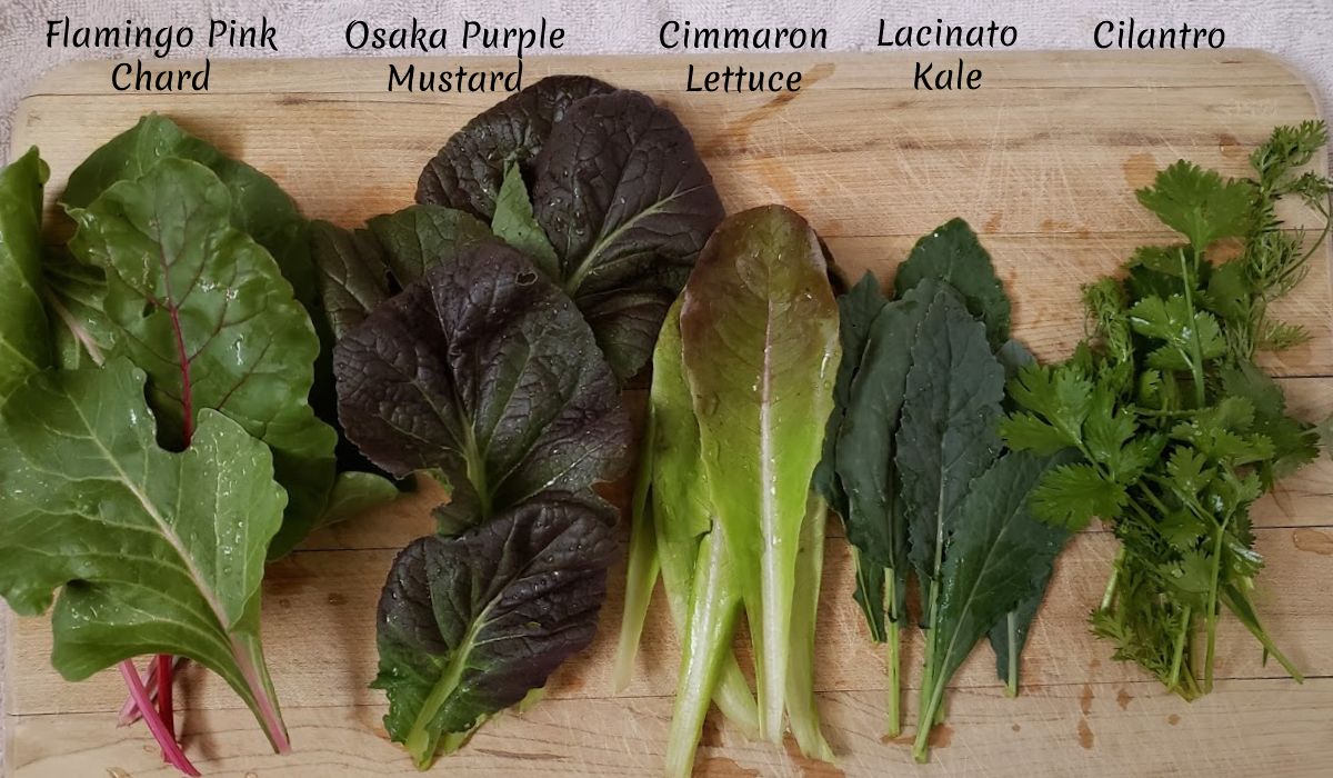 Mary's Salad Greens Combo Packung