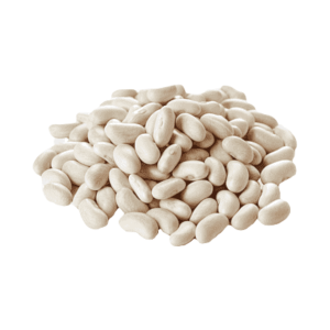 Dunkelblau Beans Trocken