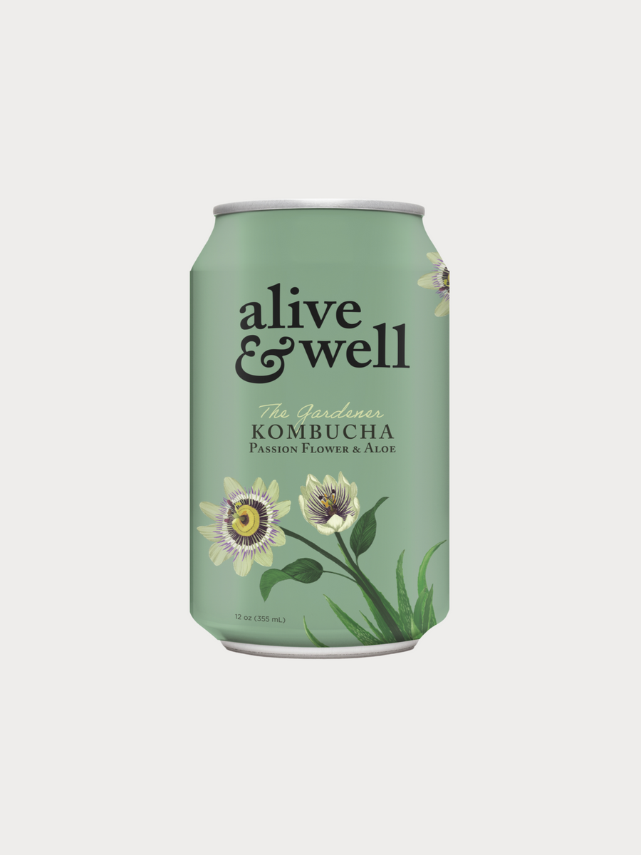 Passionsblume & Aloe Kombucha Dosen – 6er Packung