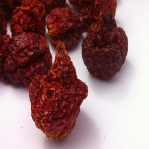 Carolina Reaper Pfeffer ganz