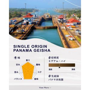 Rare Kaffee Single-Ursprung Panama Geisha [ / Taschen] – Kurumira Shop – 200g / 500g