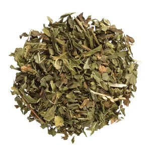 Spearmint ökologisch