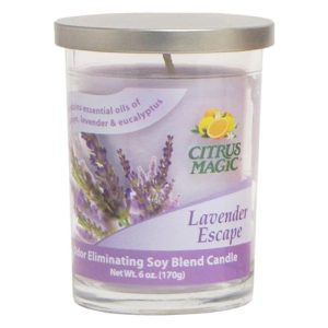 Citrus Magic – Candle Lavendel Flucht, 6 Oz