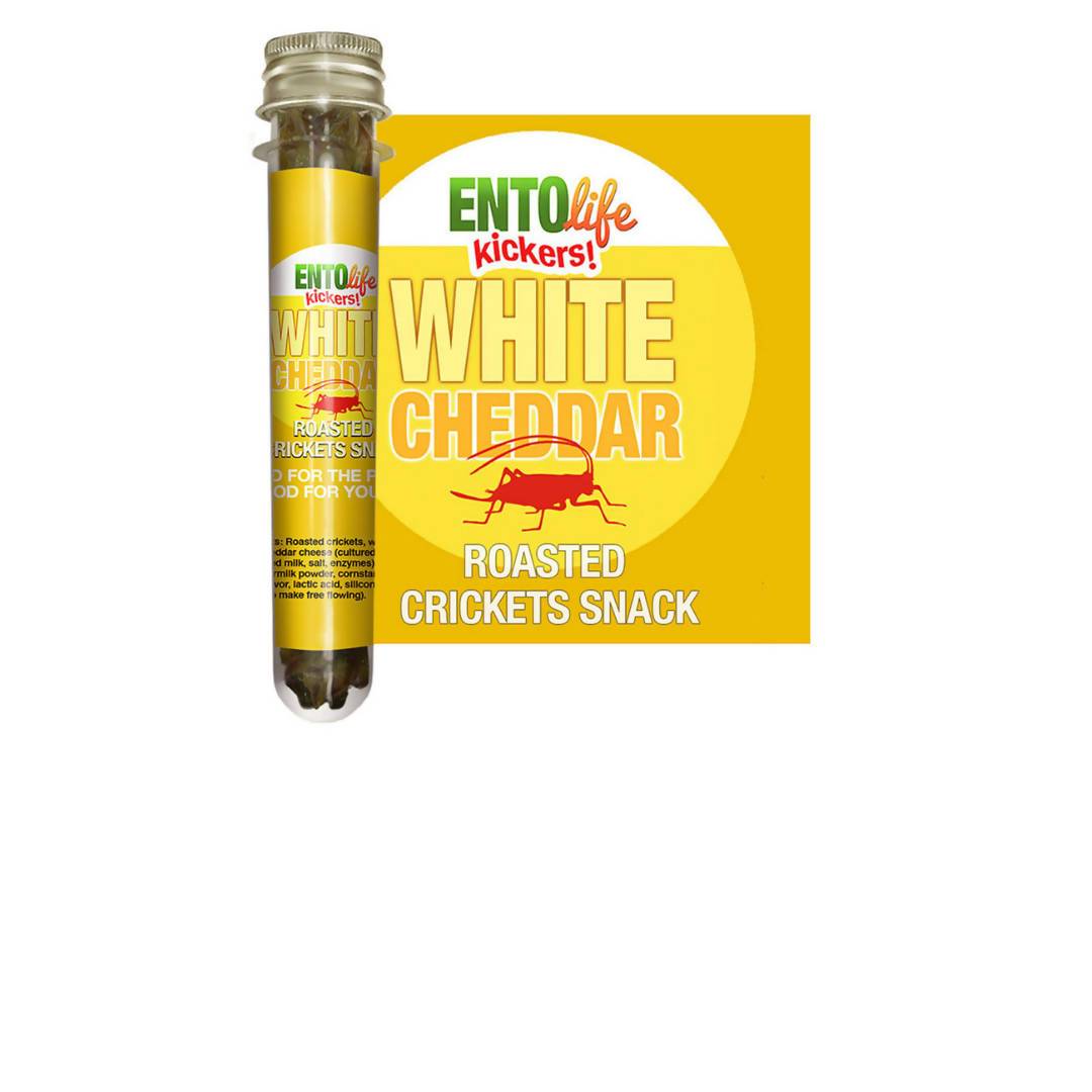 Weiße Cheddar geröstete Cricket-Snack-Röhren – 6 x 10g