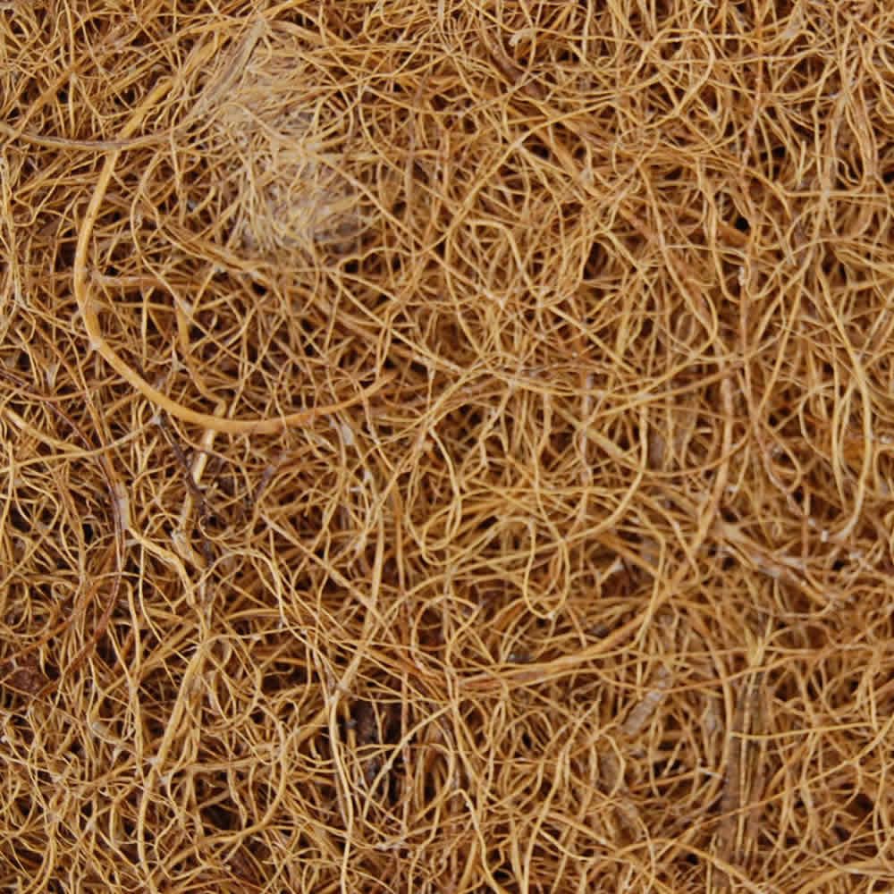 Kokos Coir Sprouting Mat