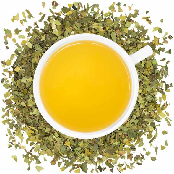 Bio Minze Mate Bulk (nach Pfund)