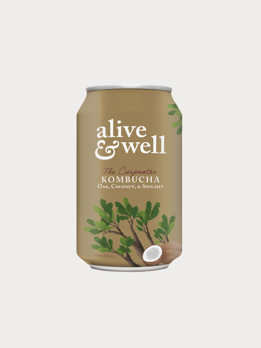 Oak & Kokos-Kombucha-Dosen – 6er Packkoffer